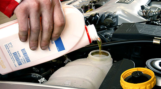 klaver Overlegenhed lommetørklæde How to check and top up your engine coolant | T W White & Sons Blog