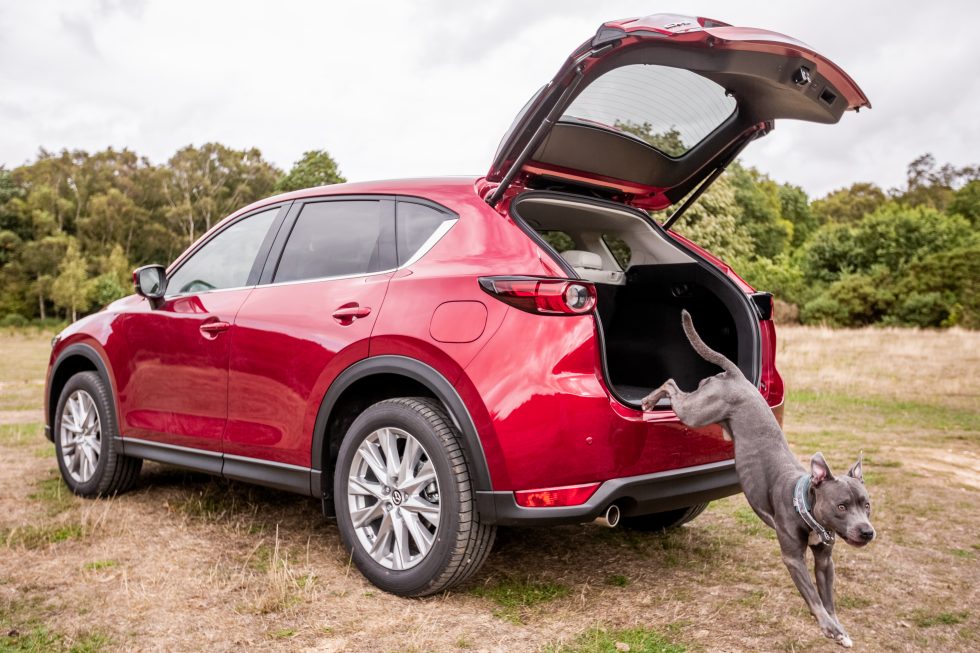 Dog jumps out of Mazda CX-5 boot