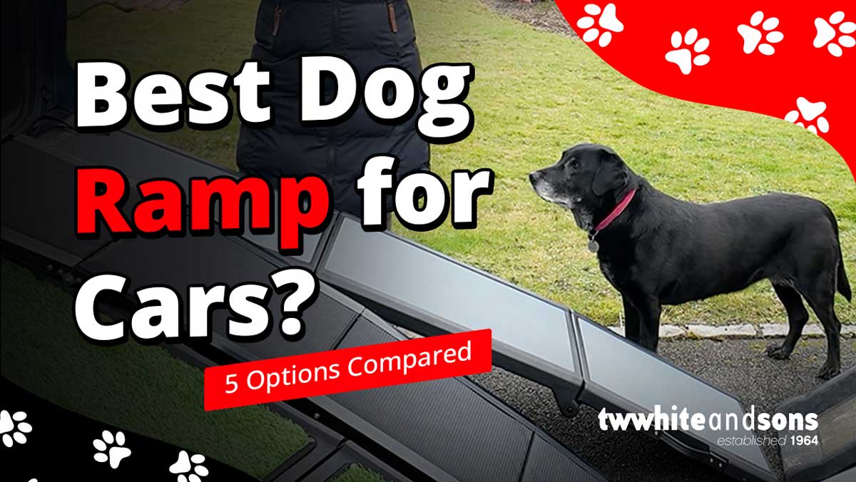 The Best Dog Ramps for Cars: Our Top Picks Reviewed